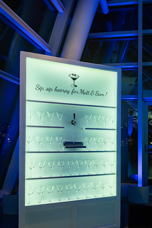 Adler Planetarium Chicago Wedding