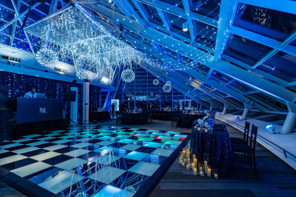 Adler Planetarium Chicago Wedding