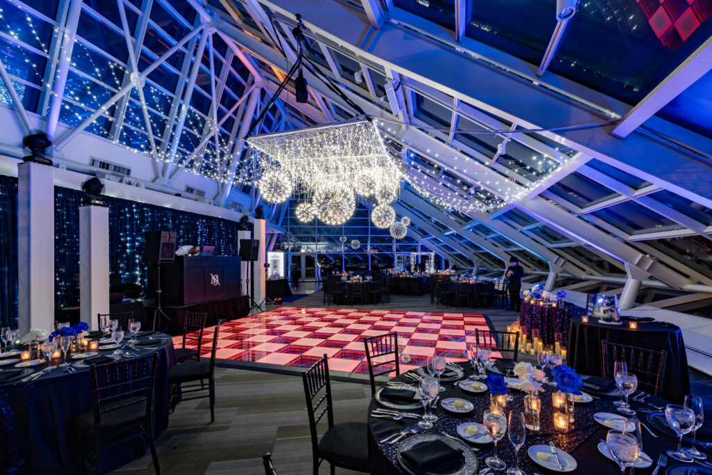 Adler Planetarium Chicago Wedding