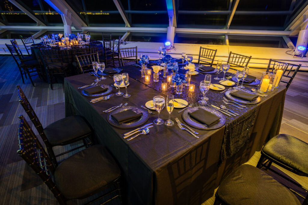 Adler Planetarium Chicago Wedding