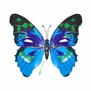 Oversized Butterflies