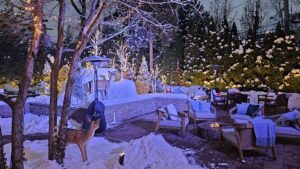 Ski Lodge Theme