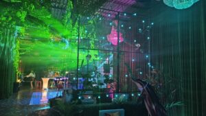 Miami Theme Party