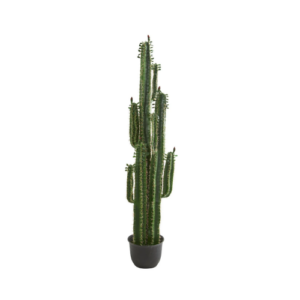6.5' Cactus Artificial Plant