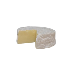 Round Fake Brie Cheese