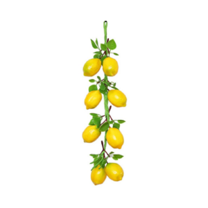 Lemon Fruit